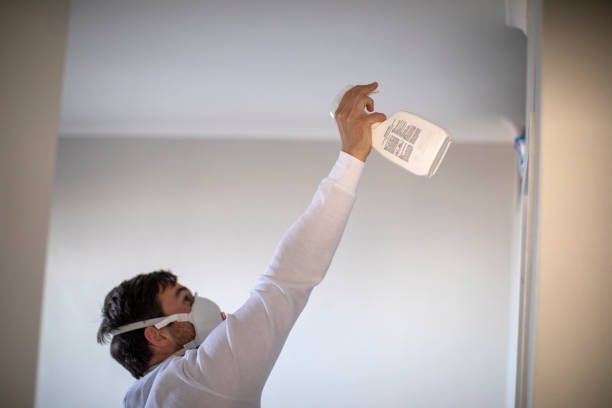 Office Mold Removal Services in Truman, MN