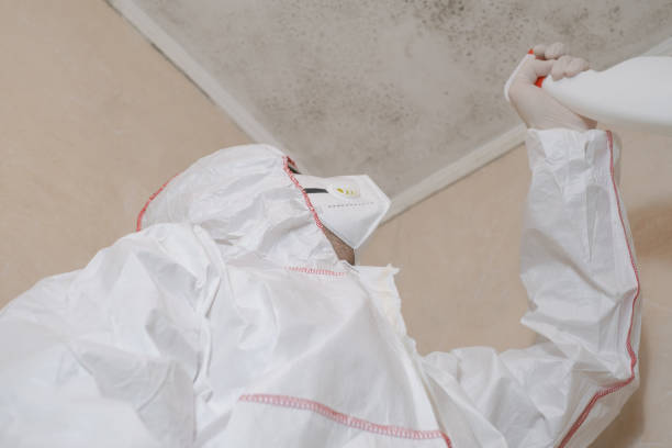 Best Mold Removal and Inspection  in Truman, MN